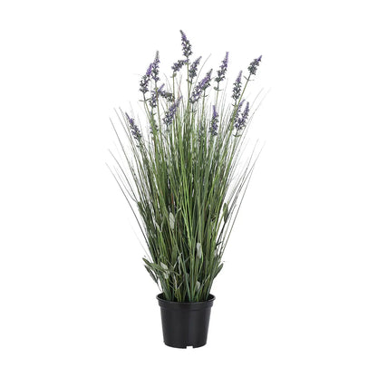 Home Decor Lavender Plant in Pot- Green/Violet 91CM