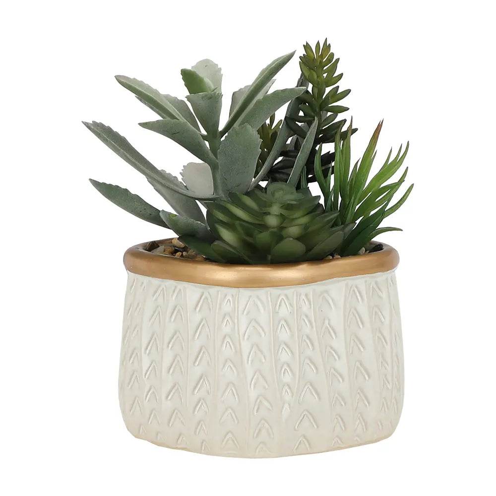 PENNEY Succulent in pot - Green/Beige 17.5CM - Artificial - Thebrands
