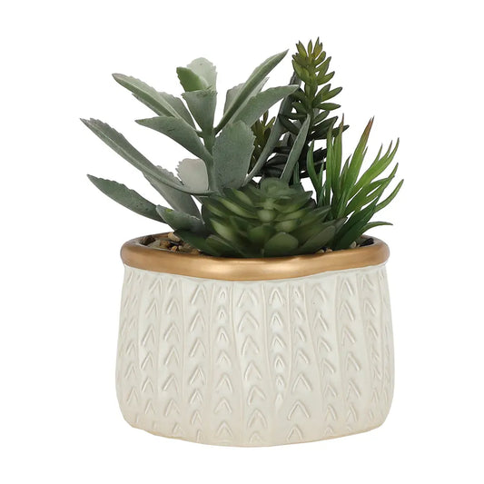 PENNEY Succulent in pot - Green/Beige  17.5CM - Artificial