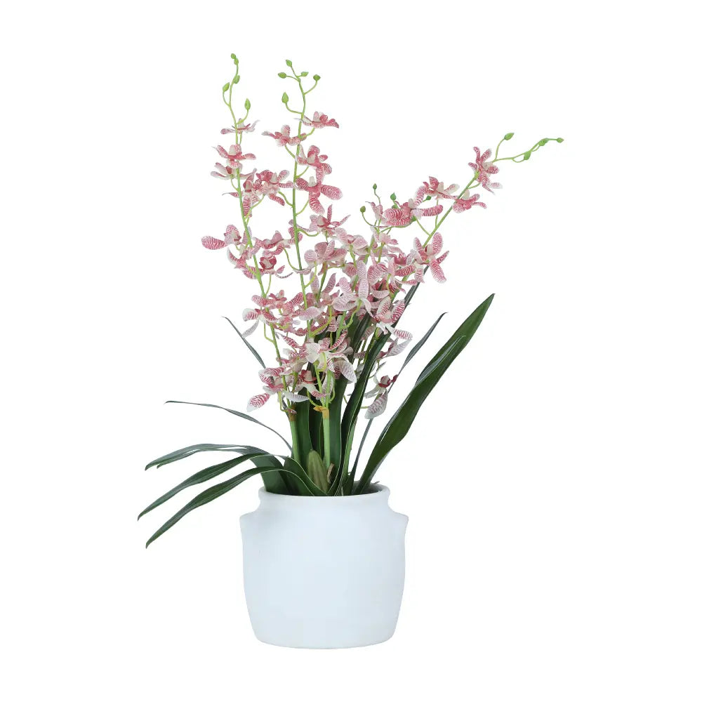 GINNY Orchid Plant in Ceramic Pot 48.26CM - Pink - Artificial