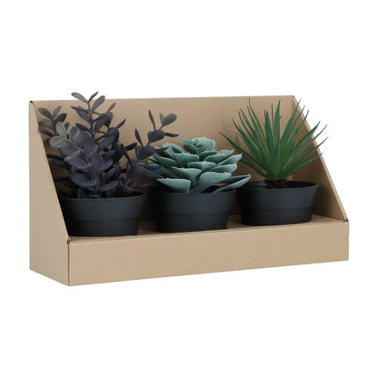 SHERON-A Succulent Plant in Pot 3 pcs./set - Green - Artificial