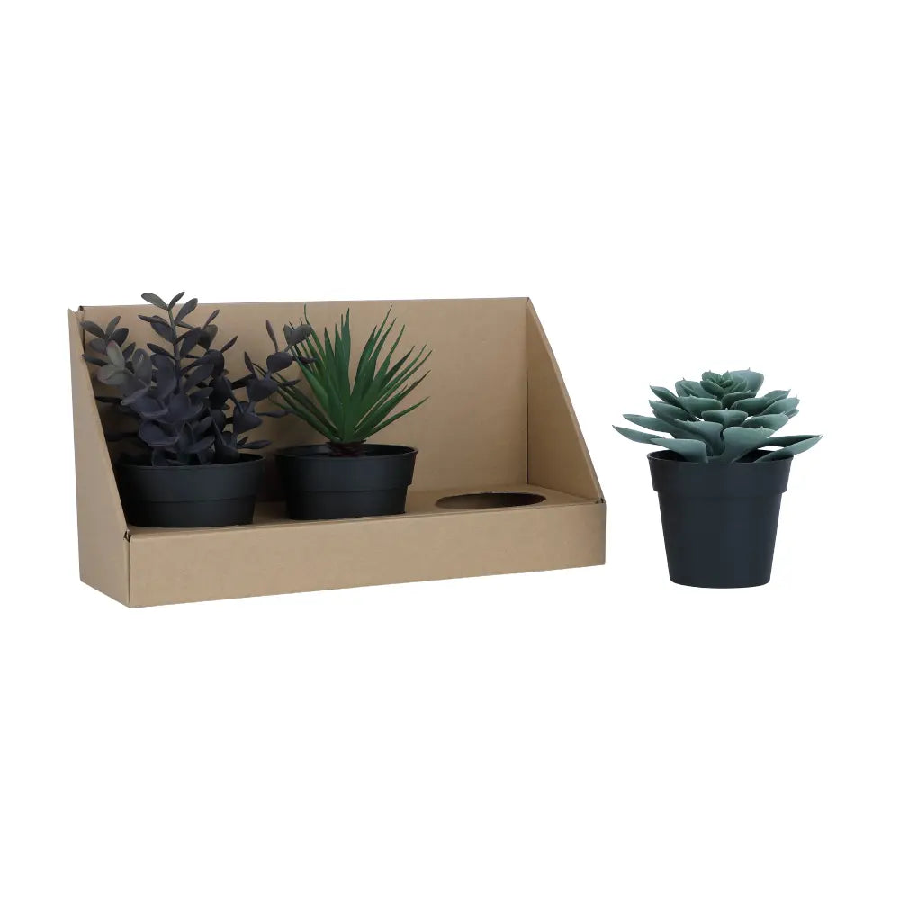 SHERON-A Succulent Plant in Pot 3 pcs./set - Green - Artificial