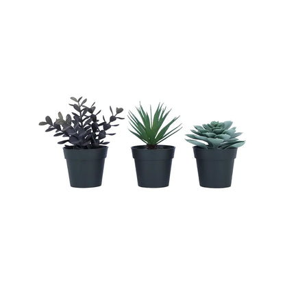 SHERON-A Succulent Plant in Pot 3 pcs./set - Green - Artificial