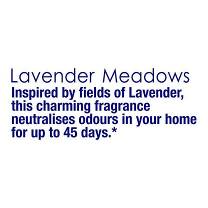 Air Freshner- Blocks LAVENDER  50gms