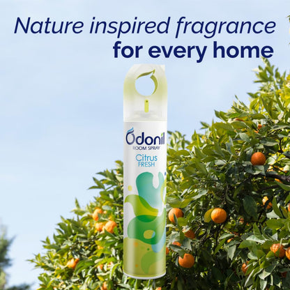 Air Freshner Spray CITRUS FRESH   220ml