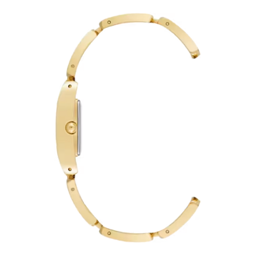 Anne Klein  AK4068GPMV
