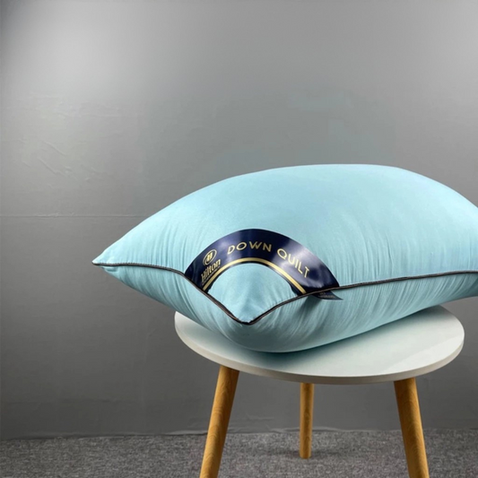 Sleeping Pillow - Tiffany Blue