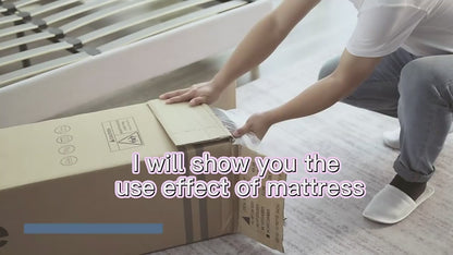 American style Mattress Perfect Sleep 12-in